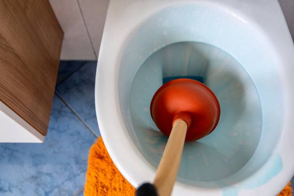 Toilet Drain Cleaning